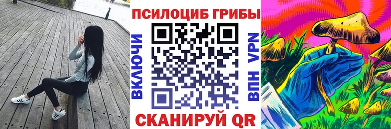 нарко площадка формула  даркнет сайт  Ачхой-Мартан  Псилоцибиновые грибы Cubensis 